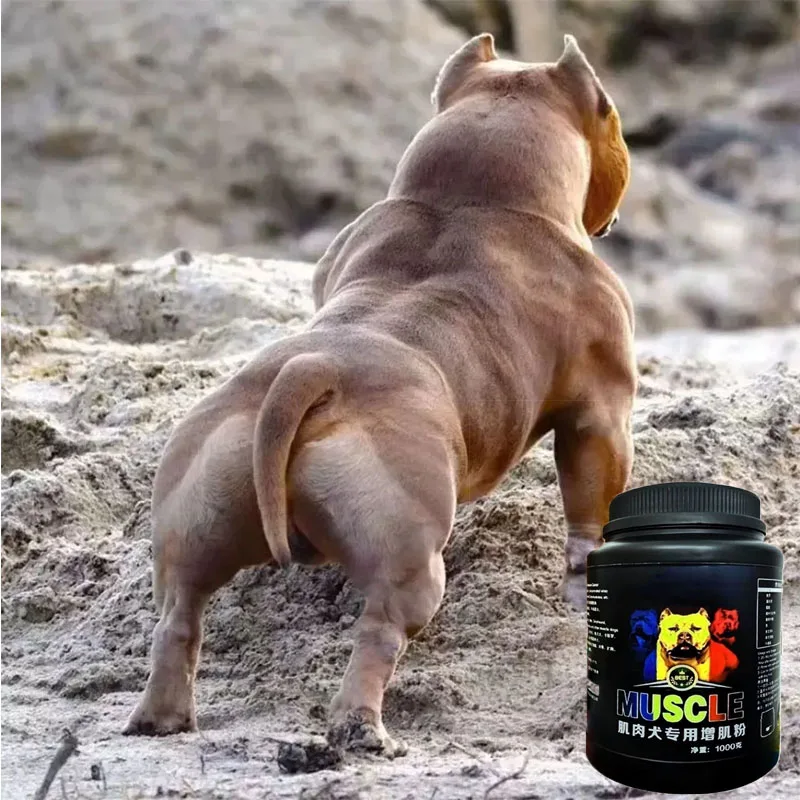 bulldog professional muscle builder whey protein powder puppies adults bully pitbull increase endurance pet dog nutrition 1kg bulldog professional muscle builder whey protein powder puppies adults bully pitbull increase endurance pet dog nutrition 1kg